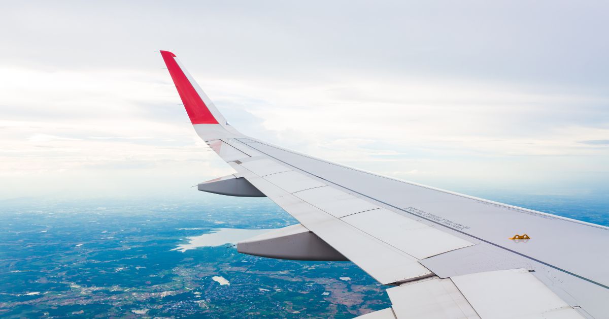 Volaris Airlines Pet Policy